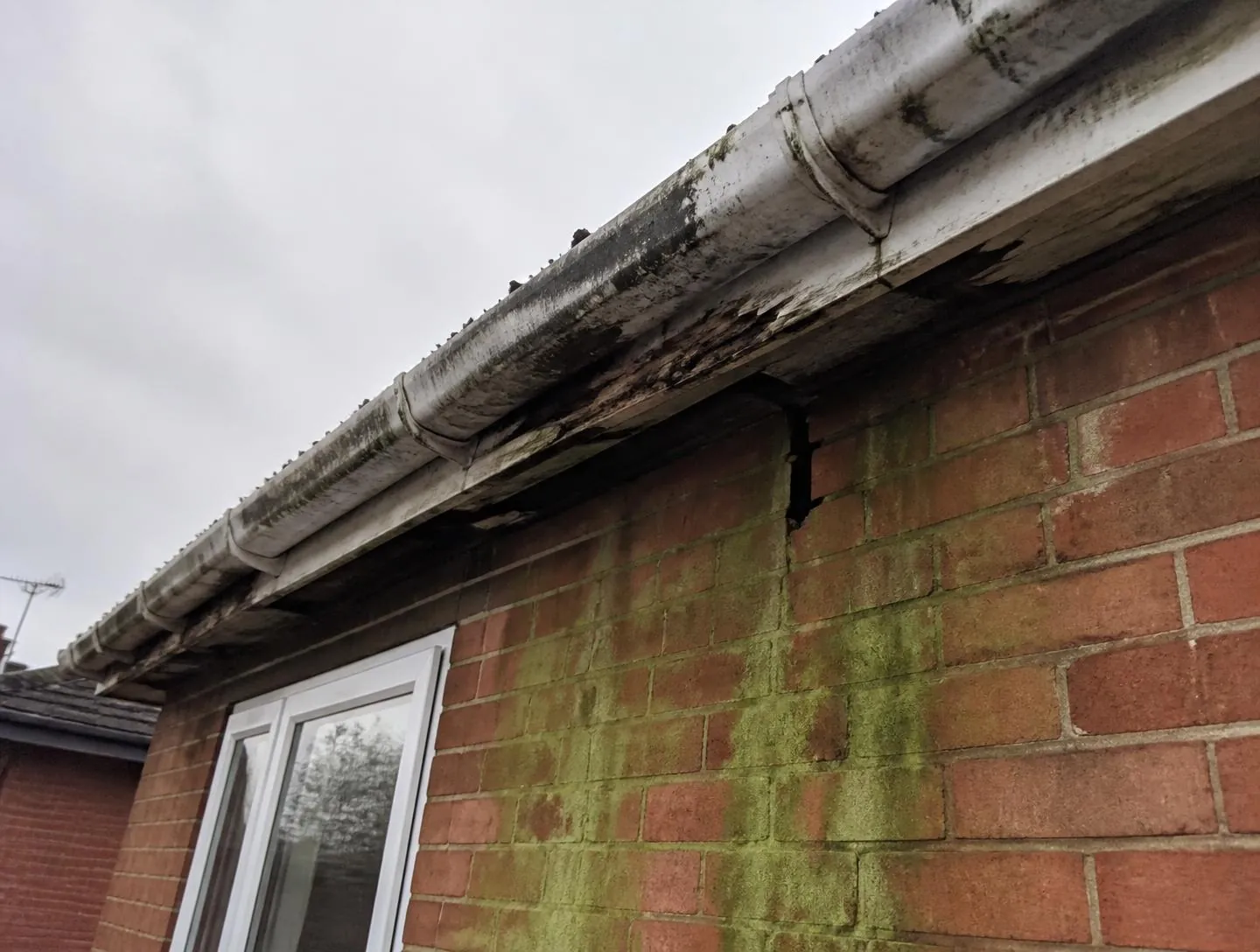 Gutter repairs with new fascias and soffits in Brighouse — before